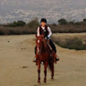 Meet your Posher, Sun